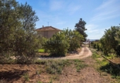 Chalet independiente con terreno en venta en la España, Murcia, ref: TR328789 foto