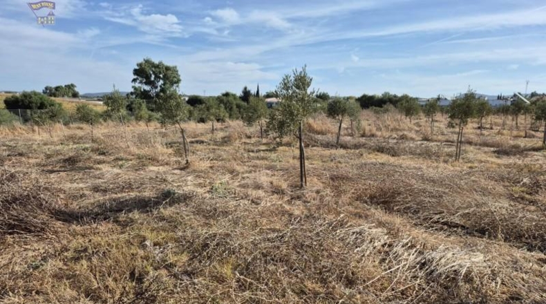 Cádiz - Arcos de la Frontera - 19720m2