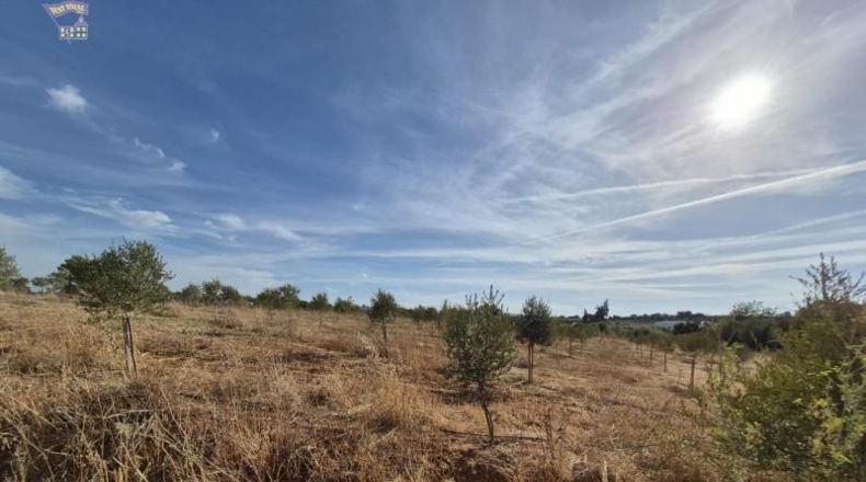 Cádiz - Arcos de la Frontera - 19720m2