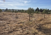 Xalet independent amb terreny en venda a la España, Arcos de la Frontera, ref.: TR342544 foto