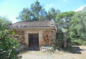 Non-developable land for sale on España, Sencelles, ref: TR316933 photo