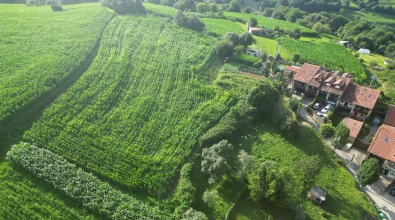 Cantabria - Comillas - 2807m2