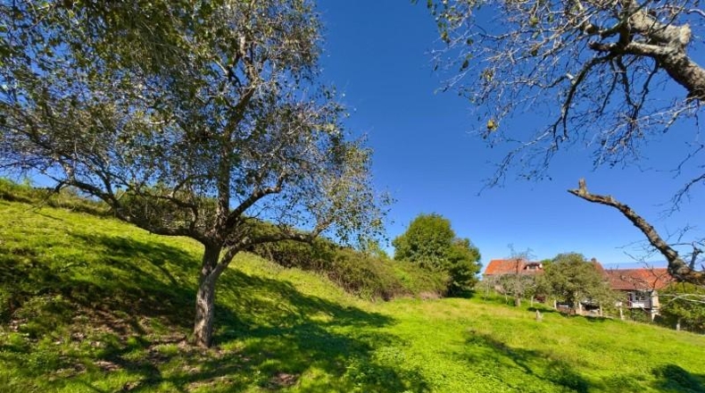 Cantabria - Comillas - 2807m2