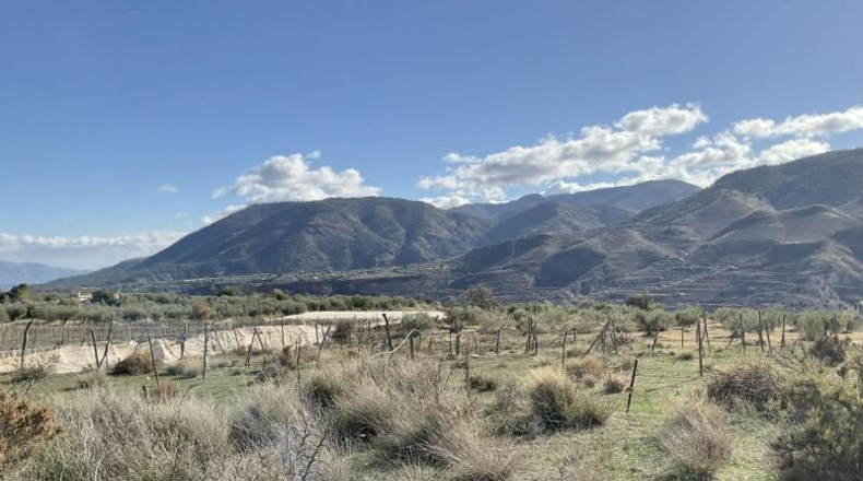 Almería - Almócita - 82819m2