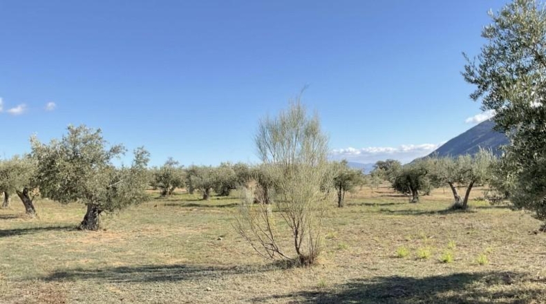 Almería - Almócita - 82819m2