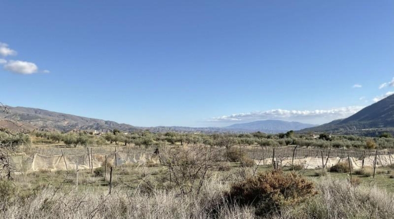Almería - Almócita - 82819m2
