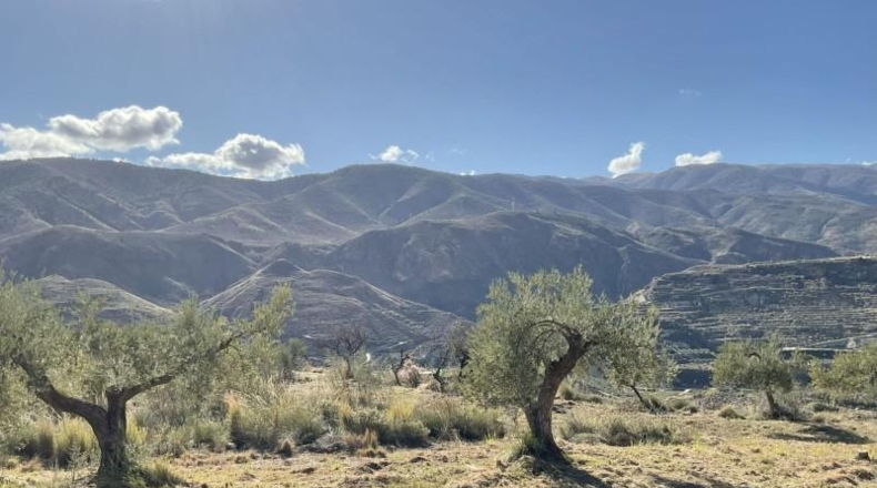 Almería - Almócita - 82819m2