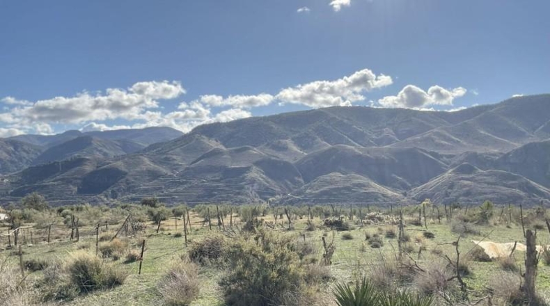 Almería - Almócita - 82819m2