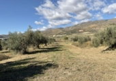Terreny no urbanitzable en venda a la España, Almócita, ref.: TR308333 foto