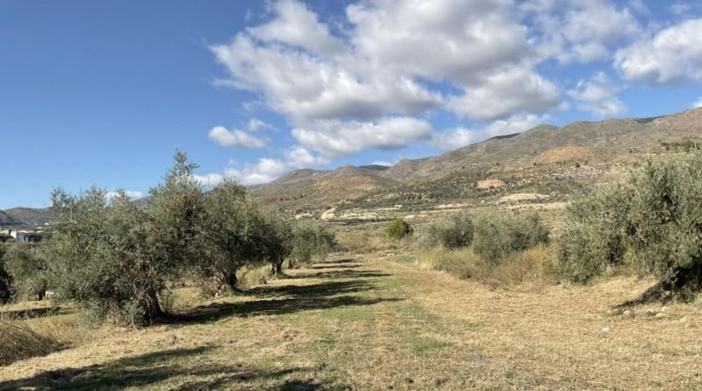 Almería - Almócita - 82819m2