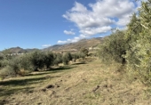 Terreny no urbanitzable en venda a la España, Almócita, ref.: TR308333 foto