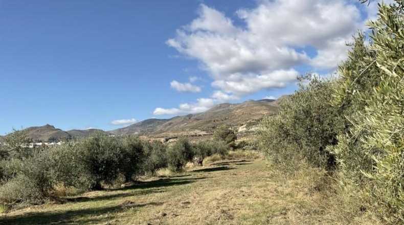 Almería - Almócita - 82819m2