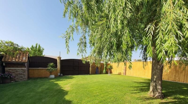 Cádiz - Chipiona - 600m2