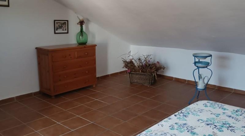 Cádiz - Puerto Real - 4466m2