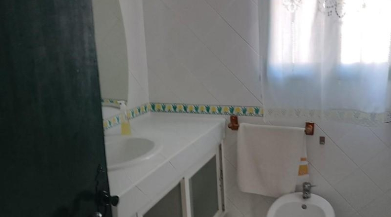 Cádiz - Puerto Real - 4466m2
