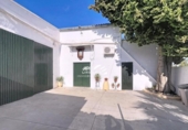 Xalet independent amb terreny en venda a la España, Lucena, ref.: TR345911 foto