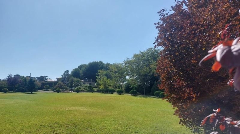 Zaragoza - Zaragoza - 13000m2