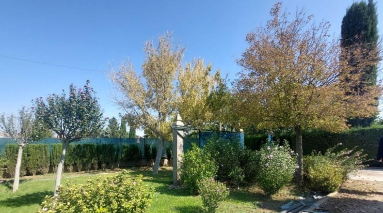 Zaragoza - Zaragoza - 13000m2