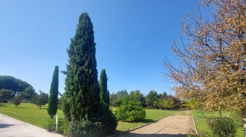 Zaragoza - Zaragoza - 13000m2