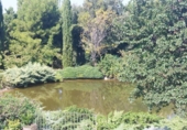 Загородный дом с участком на продажу в городе Сарагоса Фото