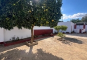 Casa de camp amb terreny en venda a la España, Vejer de la Frontera, ref.: TR360128 foto