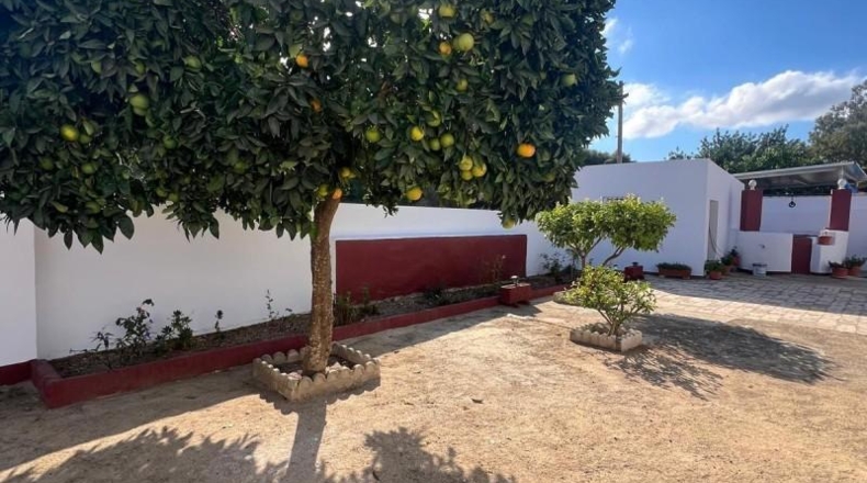 Cádiz - Vejer de la Frontera - 105m2