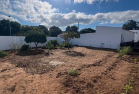 Foto 14