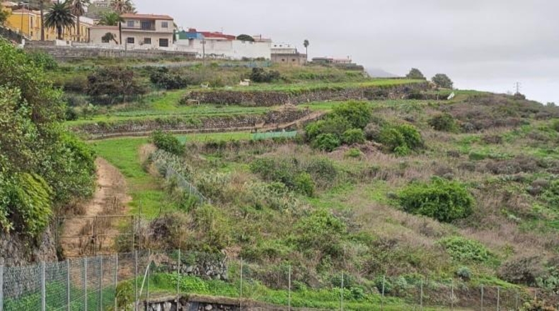 Santa Cruz de Tenerife - Garachico - 50000m2