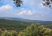Suelo urbano en venta en la España, Antequera, ref: TR334083 foto