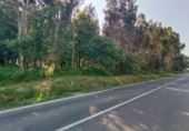 Parcel·la urbanitzable en venda a la España, Barrantes, ref.: TR354242 foto