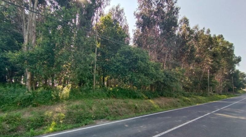 Pontevedra - O Cruceiro Vello - 9500m2