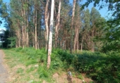 Parcel·la urbanitzable en venda a la España, Barrantes, ref.: TR354242 foto