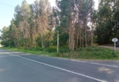 Parcel·la urbanitzable en venda a la España, Barrantes, ref.: TR354242 foto