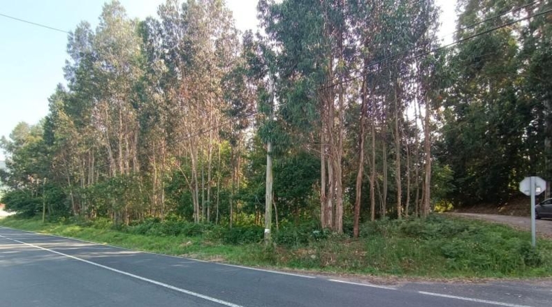 Pontevedra - O Cruceiro Vello - 9500m2