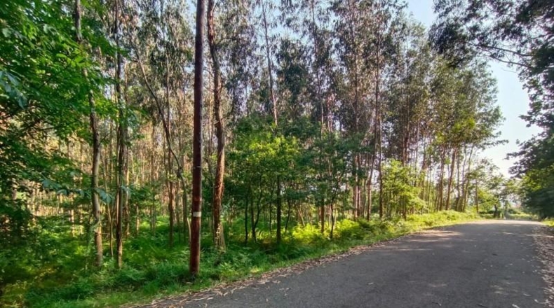 Pontevedra - O Cruceiro Vello - 9500m2
