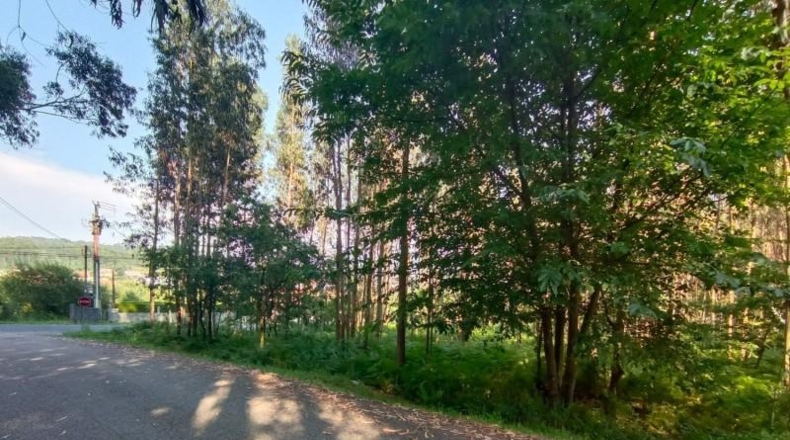 Pontevedra - O Cruceiro Vello - 9500m2