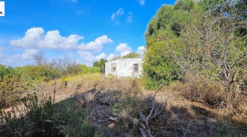 Кадис - Jerez de la Frontera - 11325m2