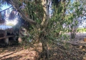 Casa de camp amb terreny en venda a la España, Jerez de la Frontera, ref.: TR356575 foto