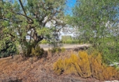 Casa de camp amb terreny en venda a la España, Jerez de la Frontera, ref.: TR356575 foto