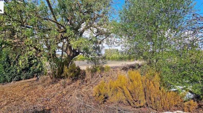 Кадис - Jerez de la Frontera - 11325m2