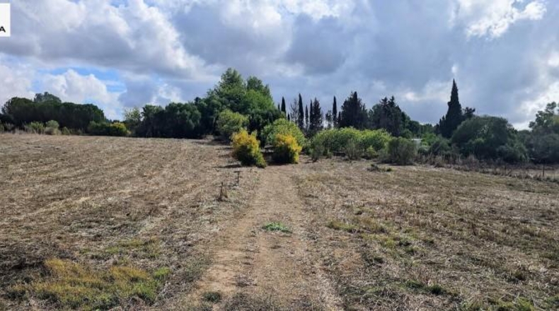 Кадис - Jerez de la Frontera - 11325m2