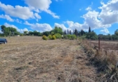 Casa de camp amb terreny en venda a la España, Jerez de la Frontera, ref.: TR356575 foto