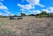 Casa de camp amb terreny en venda a la España, Jerez de la Frontera, ref.: TR356575 foto