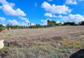 Casa de camp amb terreny en venda a la España, Jerez de la Frontera, ref.: TR356575 foto