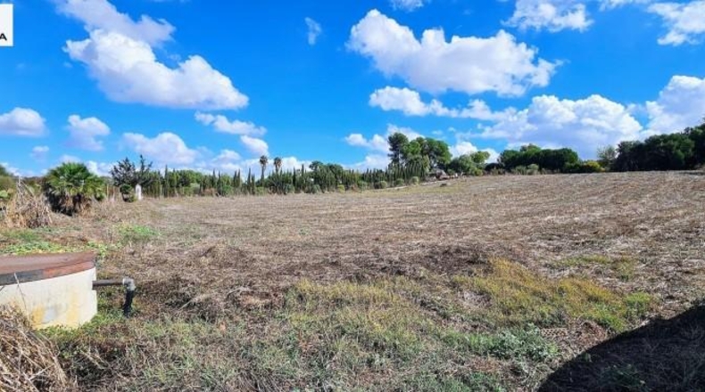 Кадис - Jerez de la Frontera - 11325m2