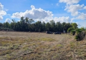 Casa de camp amb terreny en venda a la España, Jerez de la Frontera, ref.: TR356575 foto