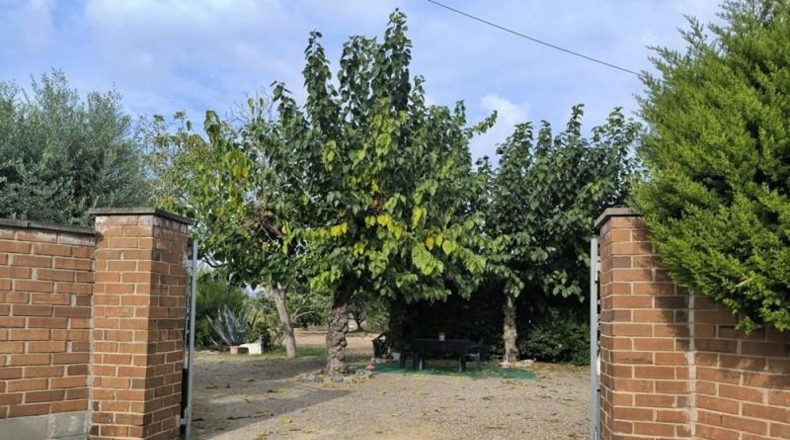 Tarragona - Реус - 4357m2
