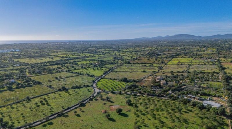 Islas Baleares - Manacor - 14206m2
