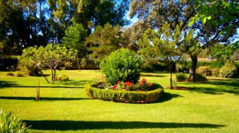 Córdoba - Córdoba - 2950m2