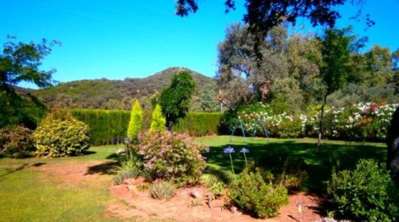 Córdoba - Córdoba - 2950m2